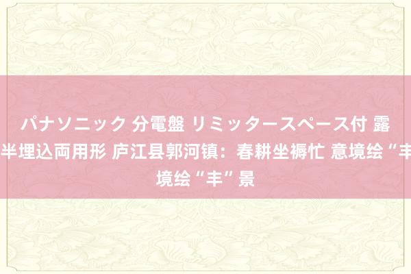 パナソニック 分電盤 リミッタースペース付 露出・半埋込両用形 庐江县郭河镇：春耕坐褥忙 意境绘“丰”景