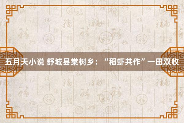 五月天小说 舒城县棠树乡：“稻虾共作”一田双收