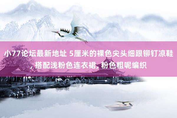 小77论坛最新地址 5厘米的裸色尖头细跟铆钉凉鞋, 搭配浅粉色连衣裙, 粉色粗呢编织