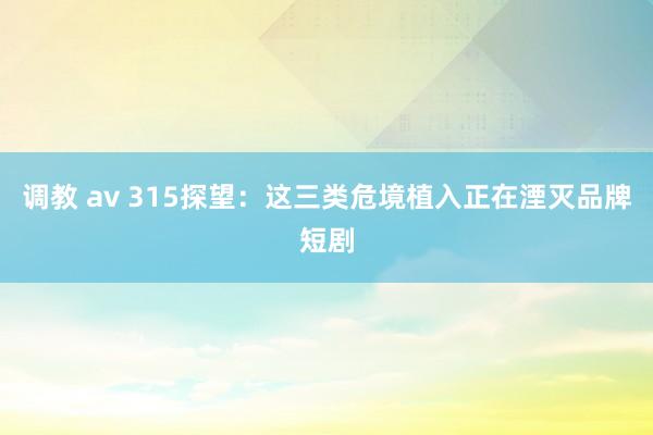 调教 av 315探望：这三类危境植入正在湮灭品牌短剧