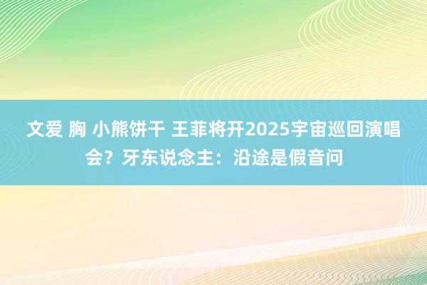 文爱 胸 小熊饼干 王菲将开2025宇宙巡回演唱会？牙东说念主：沿途是假音问